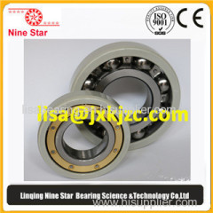 Electrically insulated bearing 6330