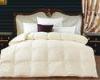 Comfortable Home / Hotel Down Feather Comforter with 30% Duck Down / 70% Duck Feather