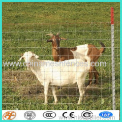 high- tensile large knotting fence for Animals of the Prairies