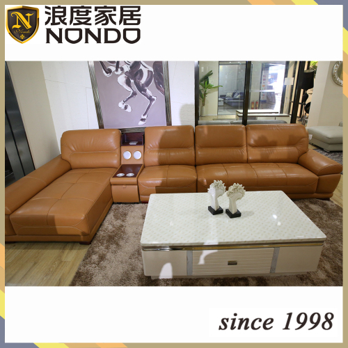 Premier sofa living room leather sofa AA095