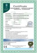 Ring Lock Scaffolding Certificate-Tianjin Wellmade Scaffold Co.,ltd
