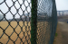 PVC coated Chain link fence manufacturer