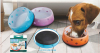 Wholesale non-toxic safe high quality dog acrylic plastic bowl blue color