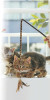 Cat teaser Cat toy