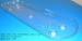 Rectangular Plant Pot Saucers PET Clear Eco Friendly For Seeding