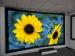 ROHS Cinema curved fixed frame screen , wall mounted screens for projectors