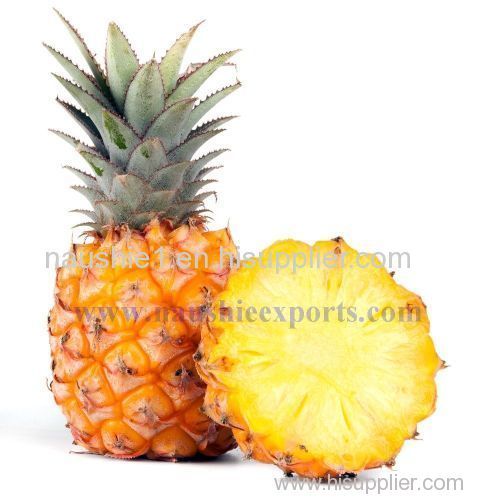 Offer To Sell Pineapple