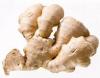 Offer To Sell Dry Ginger