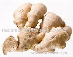 Offer To Sell Dry Ginger