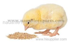 Offer To Sell Poultry Feed