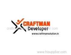 craftman solution