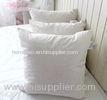 Cotton Wholesale Washable Duck Feather Cushion Inserts for Decorative Sofa Cushions