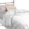 Fashion Design Multi Color Microfiber Quilt , BeautifulOversized Comforter for Wedding