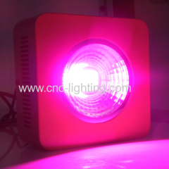 1x100w 2300lm Integrated Plant Grow LED Light