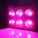 6x100w 13800lm Integrated Plant Grow LED Light