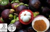 Mangosteen Extract; α-Mangostin 10%,20%,30%,90% by HPLC,