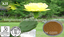 china Cactus Extract powder