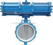 valve ball valve butterfly valve