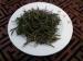 Zhejiang Linan Tian Mu Qing Ding High Mountain Green Tea With Silvery Hair Shaped