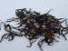 Brownish Auburn Spring Mellow Fermented Kenya Black Tea Huangshan