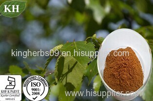 Birch Leaf Extract 10: 1, 20:1; Flavone 5%-10%