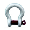 Screw Pin Anchor Shackle G 209