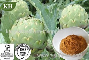 Artichoke Extract; Caffeoylquinic acids 3%,5% By HPLC;