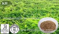 Vine Tea Extract; myricetin 50%, 80%, 98% by HPLC