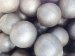 Alloyed Cast Chrome Grinding Media Balls; 11%Cr High Chrome Grinding Steel Balls for Power Stations