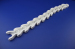 plastic radius Multiflex case conveyor chain 1701