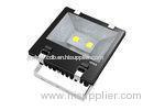 Garden 120 W ASA IP 65 Waterproof LED Floodlight with Bridgelux chip