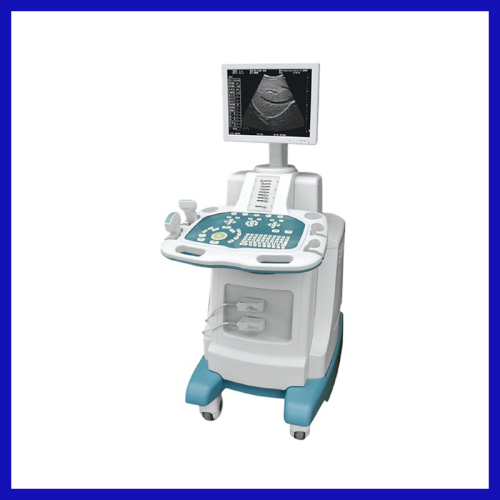 Digital portable ultrasound scanner trolley