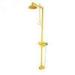 Safety Custom Combined Eyewash And Shower Station ISO9001 / ISO14001