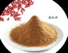 Manufacture Wolfberry Extract goji berry extrac