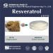 99% HPLC Polygonum Cuspidatum Extract Resveratrol