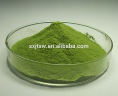 Watersoluble Organic Green Wheat/Barley Grass Powder