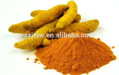 Natural Turmeric Root Extract HPLC Curcumin