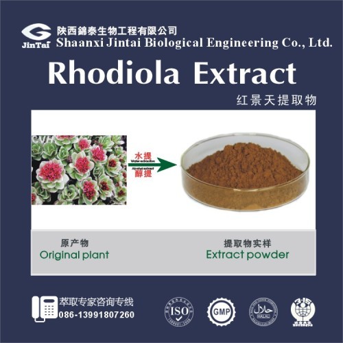 1% 3%10% Salidroside/Rosavin Rhodiola Rosea extract