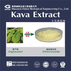 high quality Kava Extract
