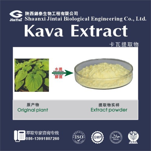 high quality Kava Extract