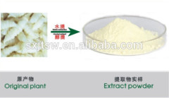 Pure plant extract 80% Soybean oligosaccharides