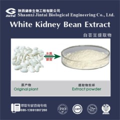 100% Natural White Kidney Bean Extract Phaseolin/White Kidney Bean Extract