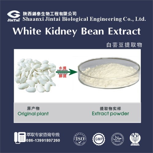 100% Natural White Kidney Bean Extract Phaseolin/White Kidney Bean Extract