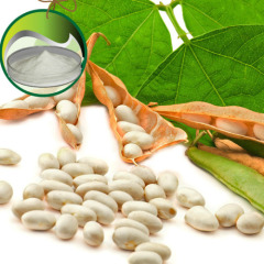 100% Natural White Kidney Bean Extract Phaseolin/White Kidney Bean Extract