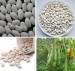100% Natural White Kidney Bean Extract Phaseolin/White Kidney Bean Extract