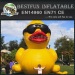 Giant inflatable yellow promotion duck