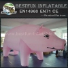 Cute advertising inflatable pig cartoon