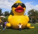 Giant inflatable yellow promotion duck