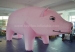 Giant inflatable pig balloons