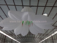 Fatanstic Decoration Wedding Inflatable Flowers